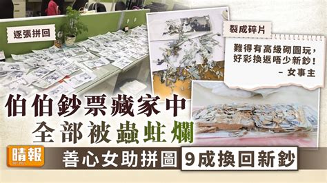 錢被蟲蛀|千元鈔藏家中…「整疊被蟲啃爛」神人拼回9成 成果驚呆網：太強大